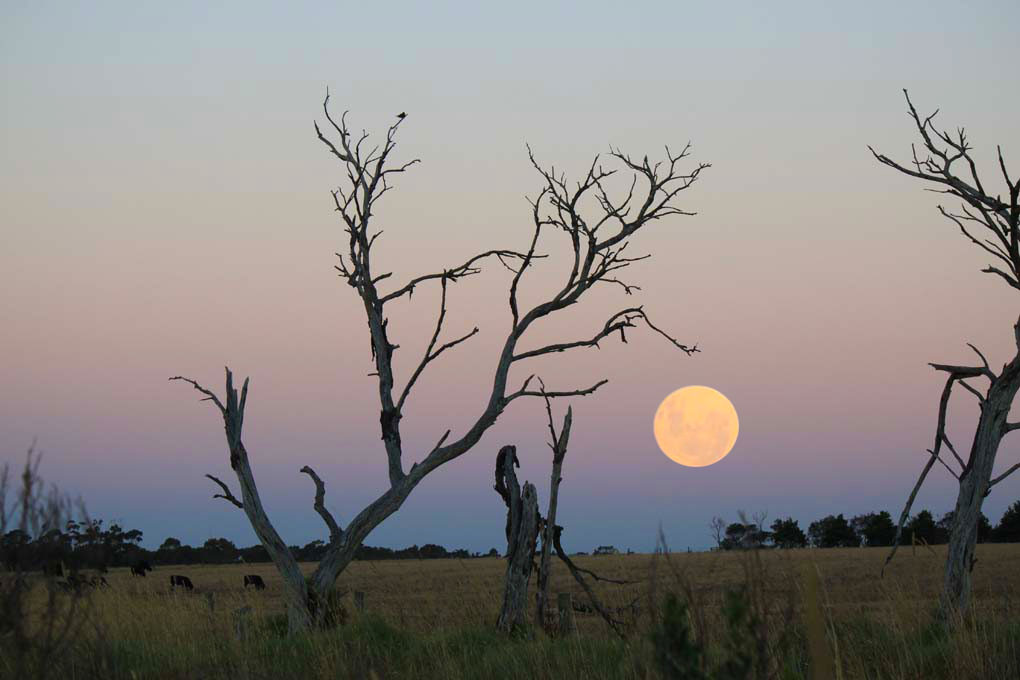 8429233597_bfb9fae41e_b